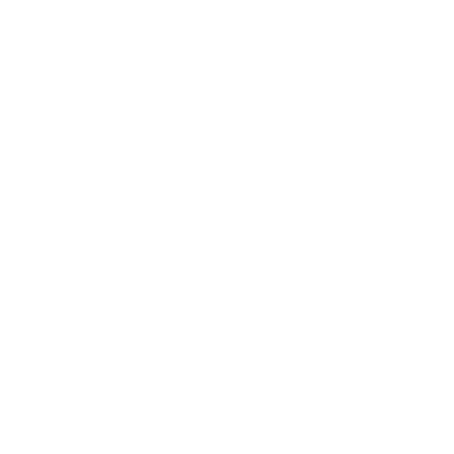 D.BRXTHERS 